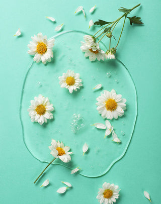 Textura em gel transparente do Sabonete Líquido Facial Camomila Hidrabene com flores de camomila em fundo verde-água